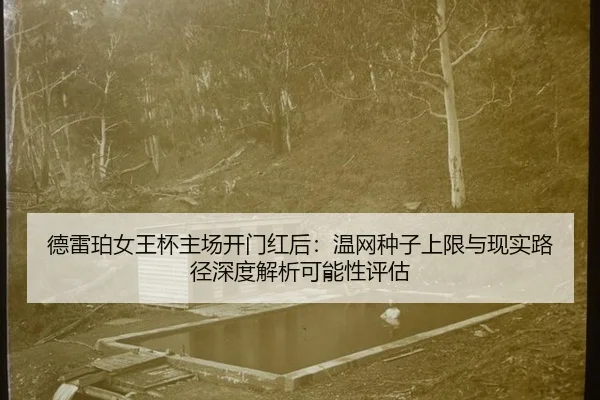 德雷珀女王杯主场开门红后：温网种子上限与现实路径深度解析可能性评估（j9 game）