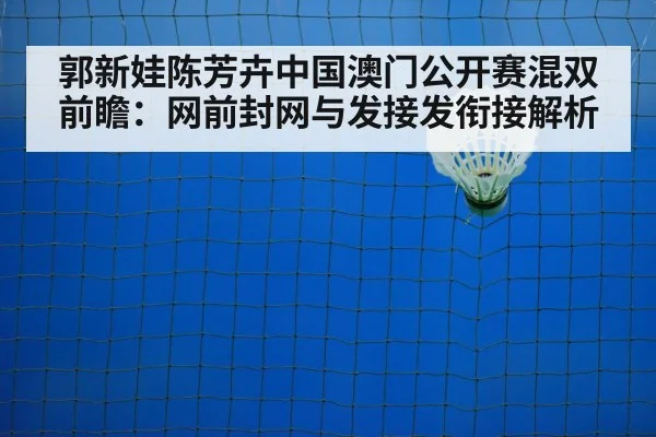 badminton net shot